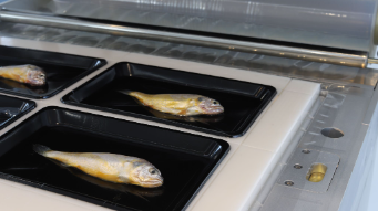 vacuum skin packaging applications ứng dụng đóng gói da chân không