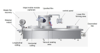 //iqrorwxhnjjmlp5p-static.micyjz.com/cloud/lpBprKlnlkSRmkkpjoqliq/thermoforming-packaging-machine.jpg