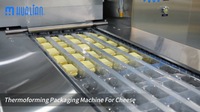 //iqrorwxhnjjmlp5p-static.micyjz.com/cloud/pkBprKlnlkSRqlprmpqrip/thermoforming-packaging-machine-for-cheese.png